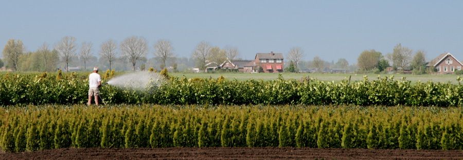 top